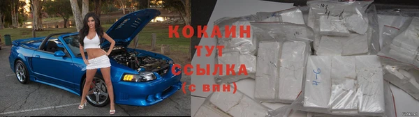 тгк Абинск