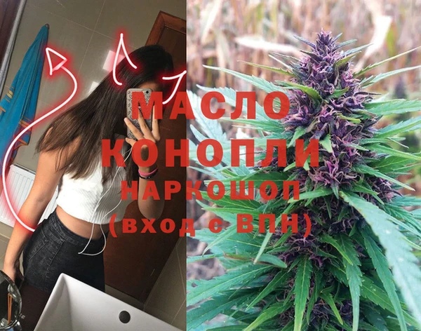 индика Алексеевка