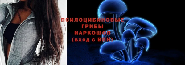 тгк Абинск
