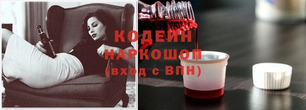 дмт Абаза