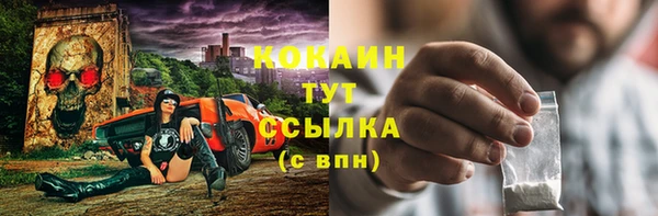 дмт Абаза